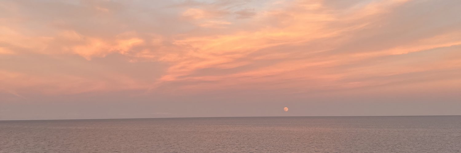 elliemowbray's profile banner image