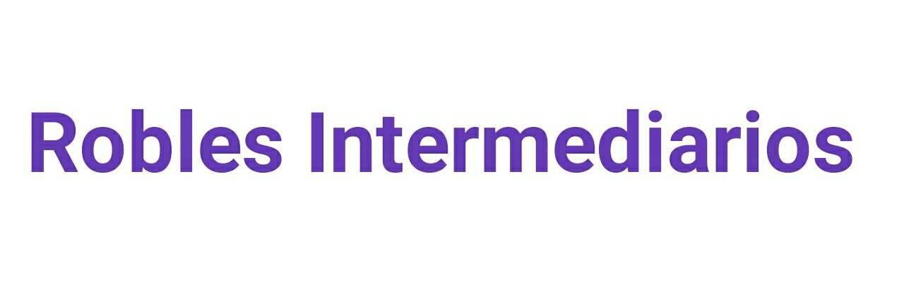 roblesintermedi's profile banner image