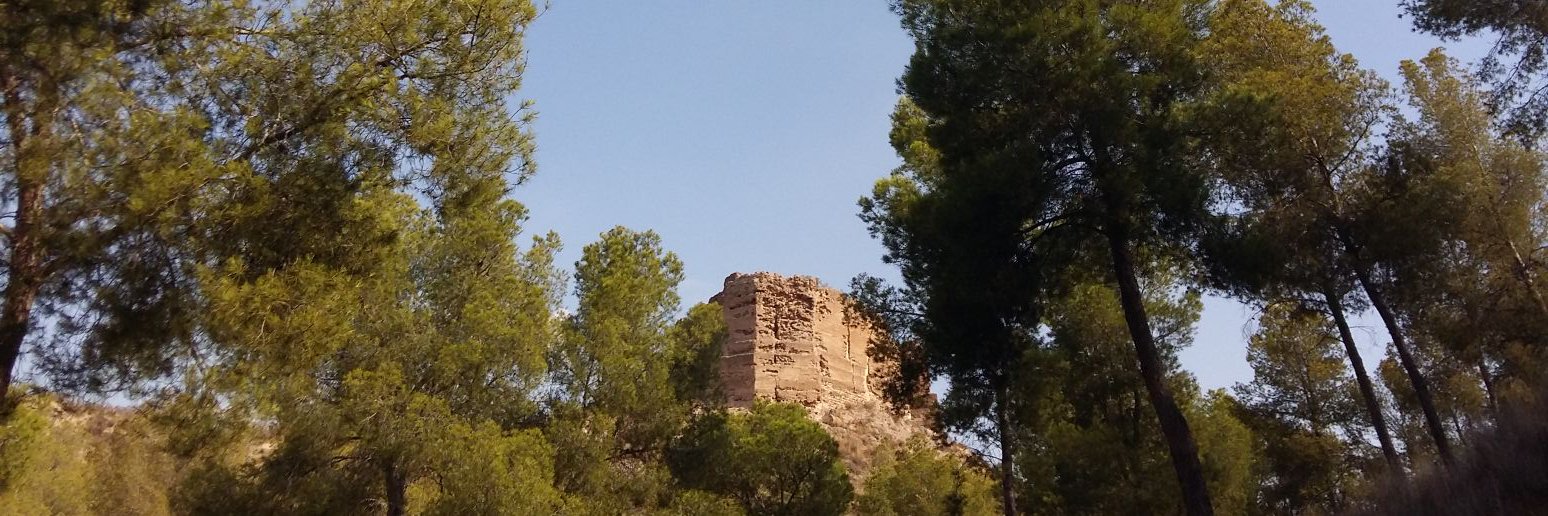 ᴄᴏɴxɪ ᴀʀʟᴀɴᴅɪs 🌱🌏 banner