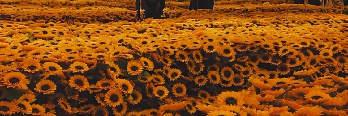 less_ov's profile banner image