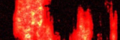 2gorls1aiden's profile banner image