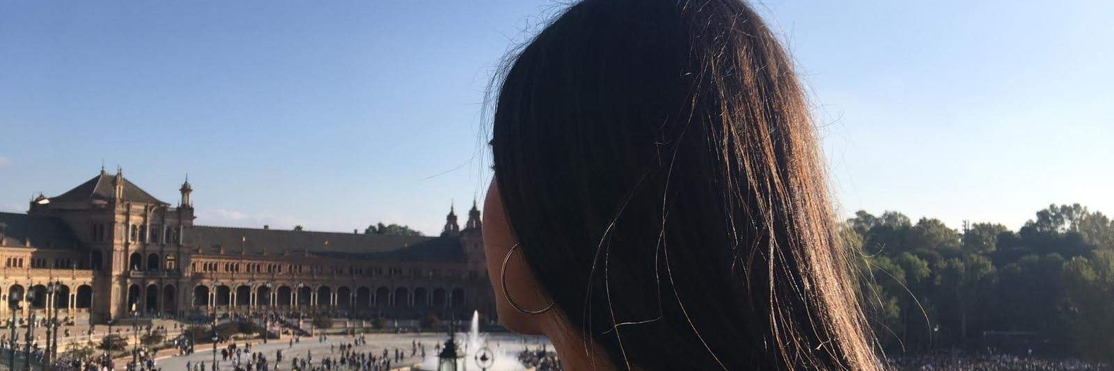 beariverocutill's profile banner image