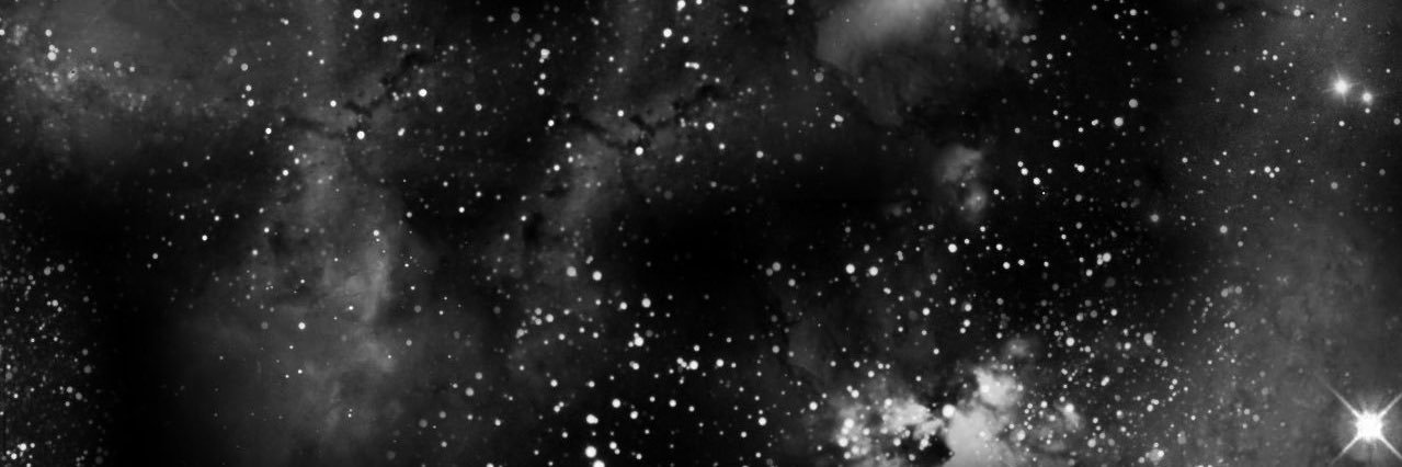dumbphatbottom's profile banner image