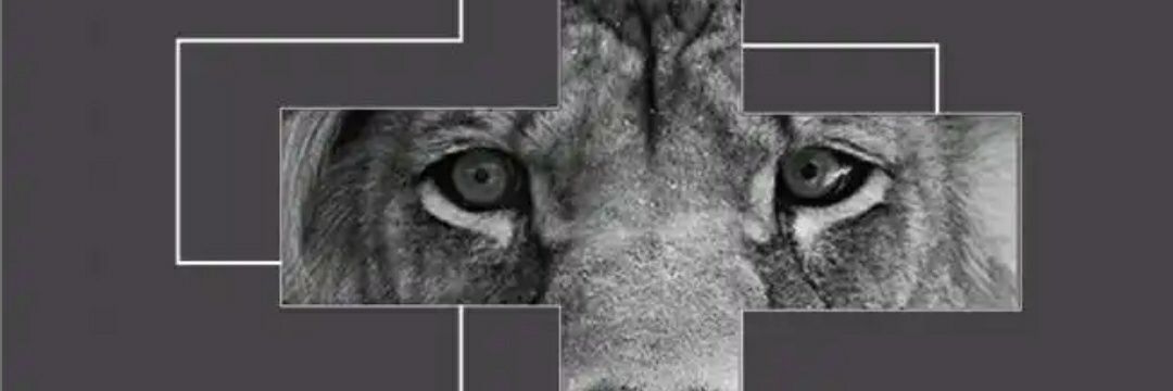 _pauloojnr's profile banner image
