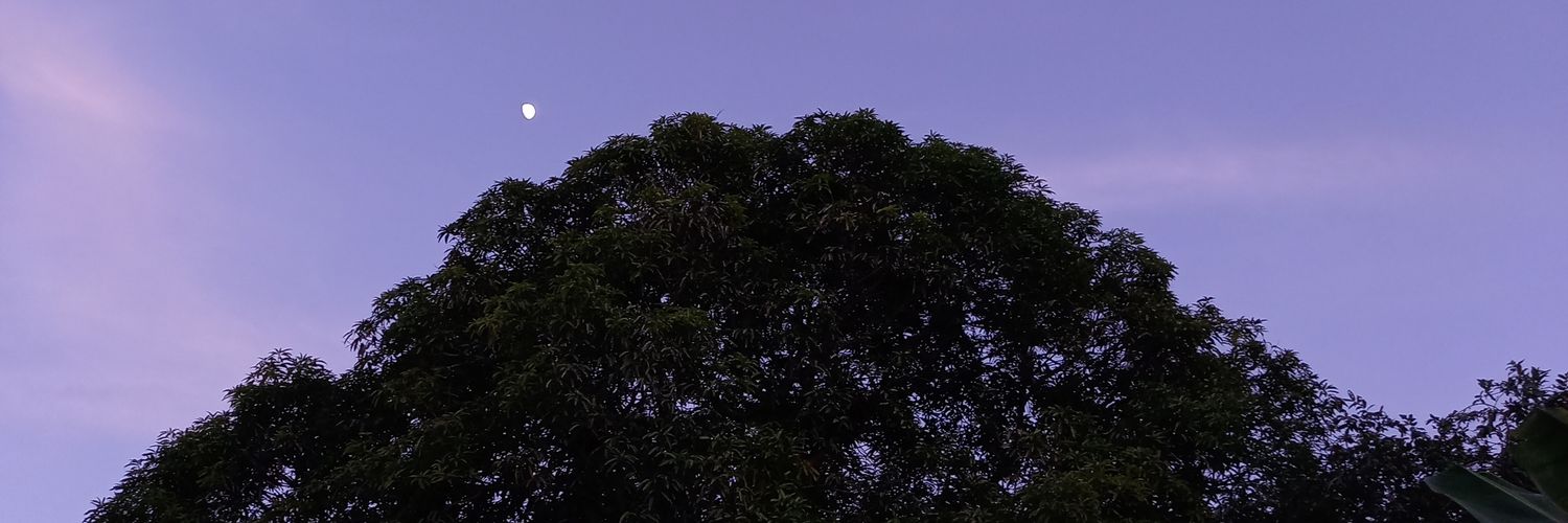 mooniepaypay's profile banner image