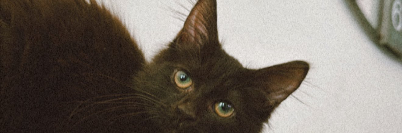 _breonaa's profile banner image