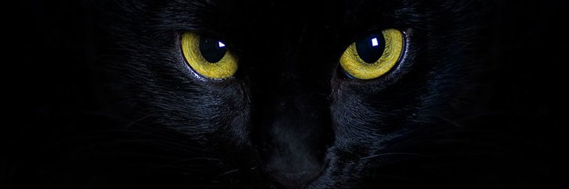 𝙗𝙚𝙣𝙨𝙞𝙢𝙬𝙞𝙨𝙚‌ banner