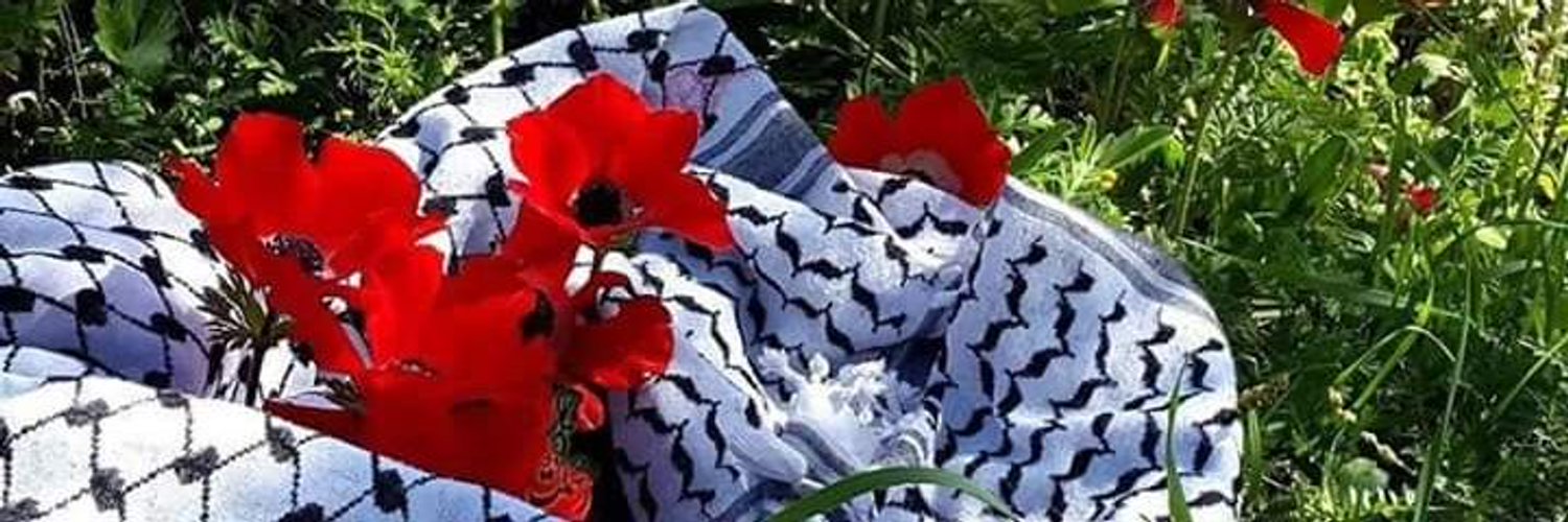 A7mat96o4's profile banner image