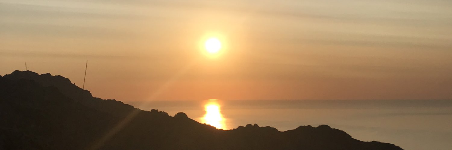 VicensVanGogh's profile banner image