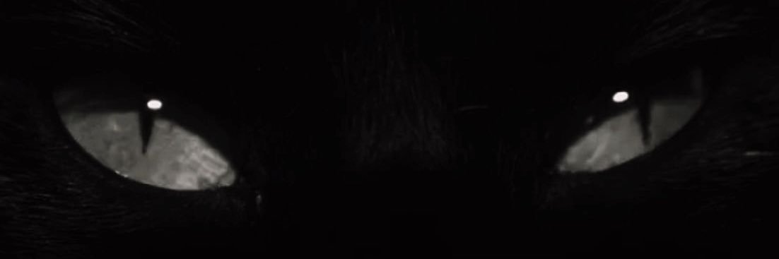 mkkenze's profile banner image