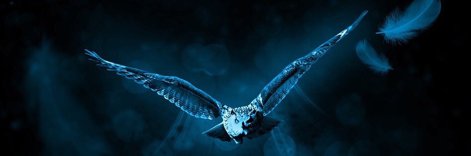 ortis_35's profile banner image