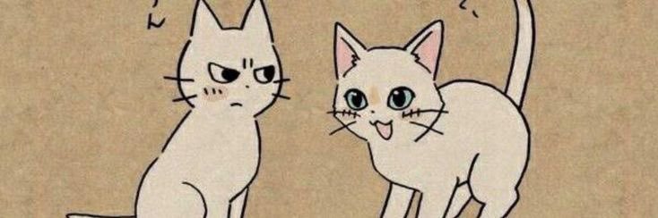 ianne ♡ banner