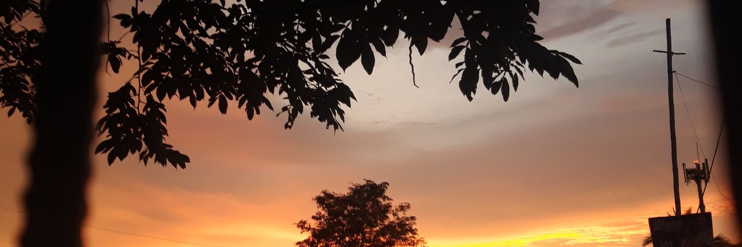 juniimaco's profile banner image