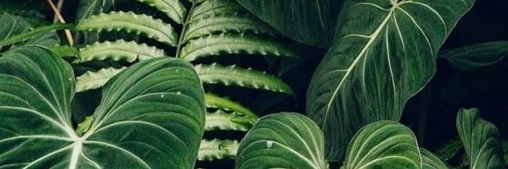 YafitBatel's profile banner image