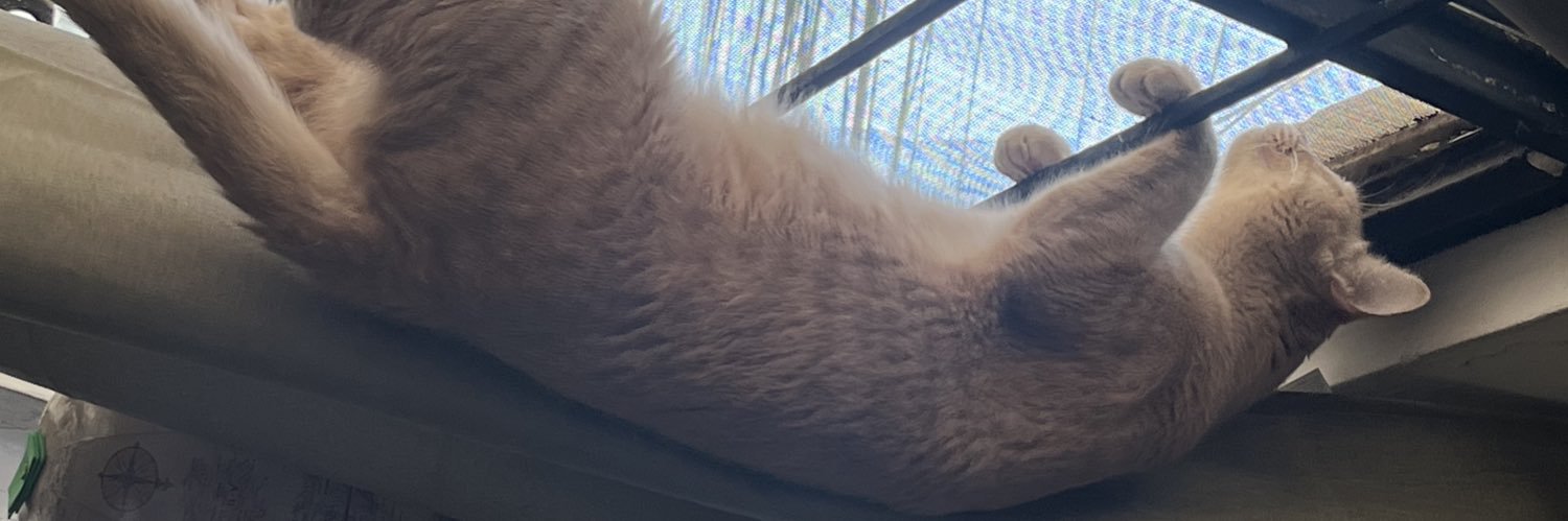 diosconejx's profile banner image