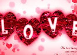 NaturalLoves's profile banner image