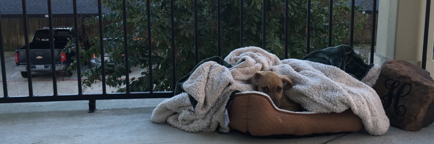 brandyyyleighh's profile banner image