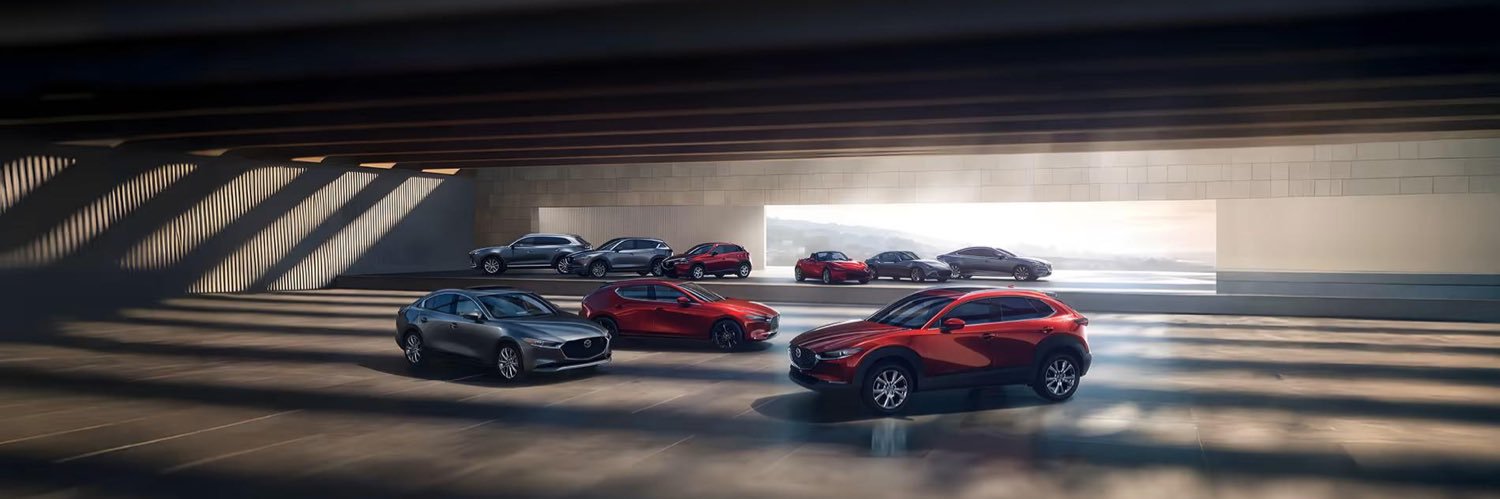 Andrew Canonaco banner