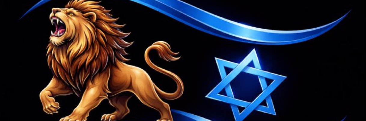 HollanderSapir's profile banner image