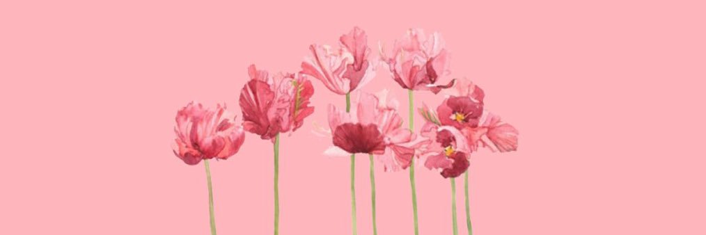 emsbakerxx's profile banner image