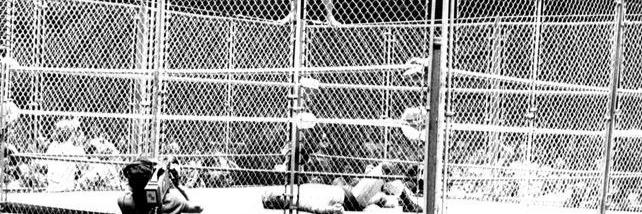 TGBWWE's profile banner image