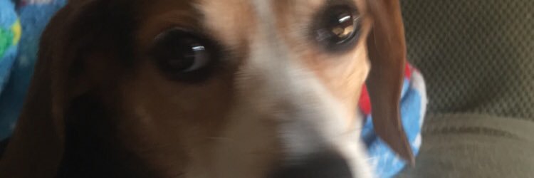 YaBoy_Mickey_p's profile banner image