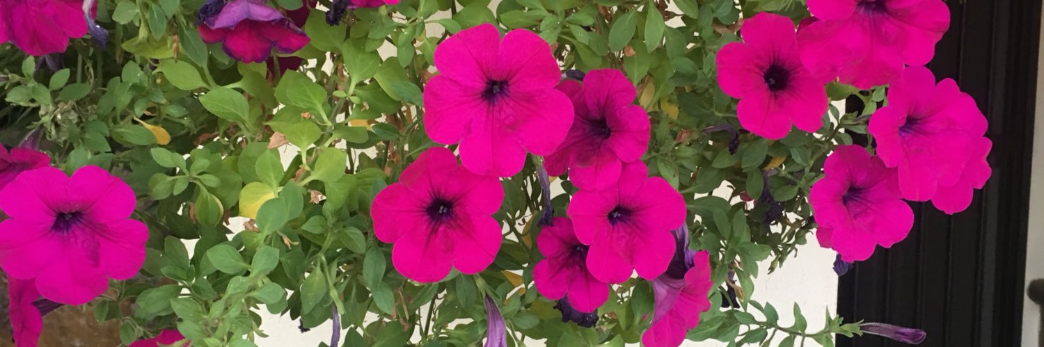 DennisseRendon's profile banner image