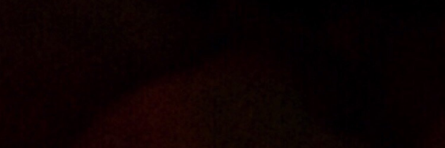 Bernardica3's profile banner image