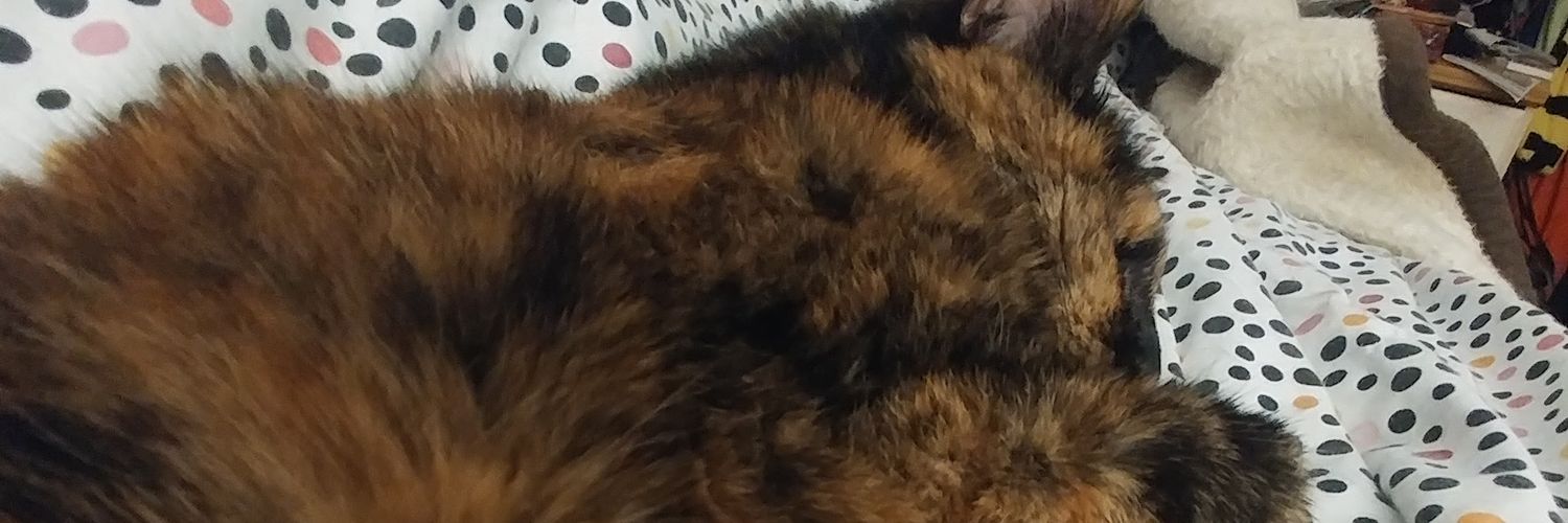 artec_cat's profile banner image