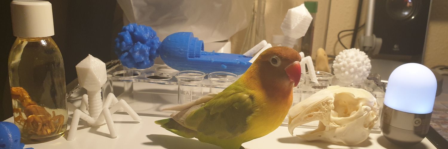 𝐏𝐚𝐮𝐥𝐚 banner