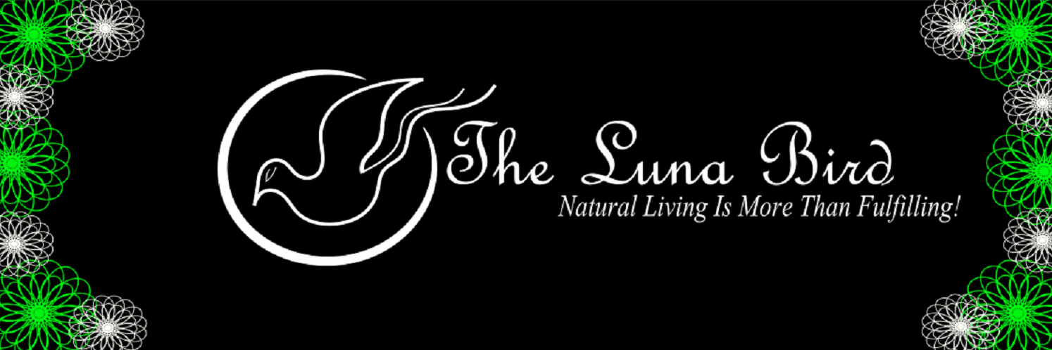 SarahLuna88's profile banner image