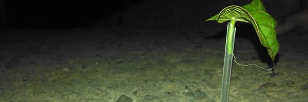 eldung_2 Profile Banner