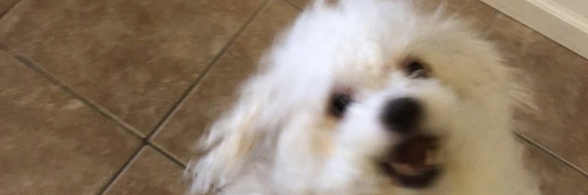 xtine banner