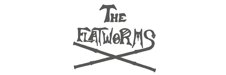 TheFlatworms's profile banner image
