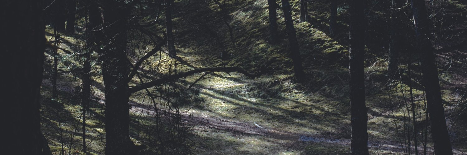 ARemeika's profile banner image