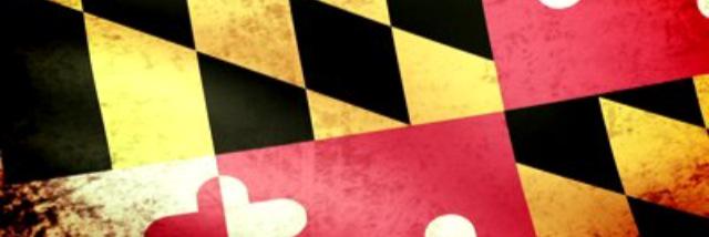 Riggio32's profile banner image