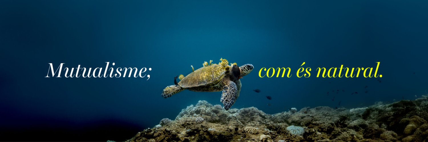 Federació de Mutualitats de Catalunya banner