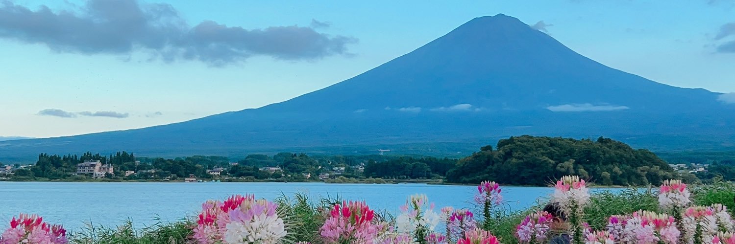 かぴこ@柴犬みかん banner