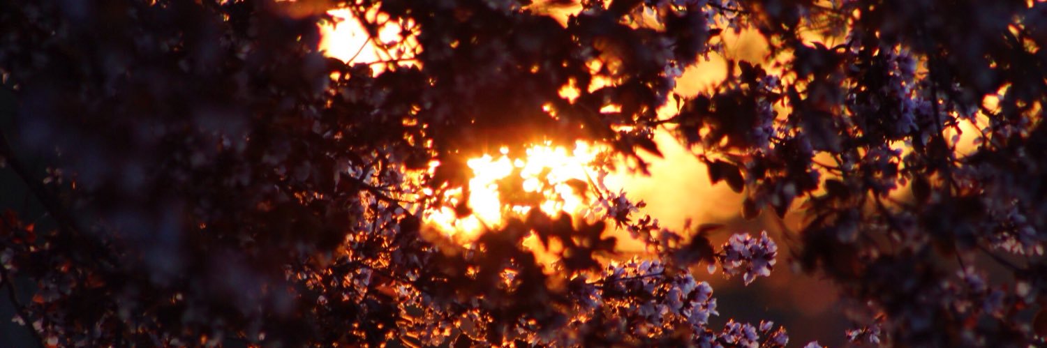zachyb30's profile banner image