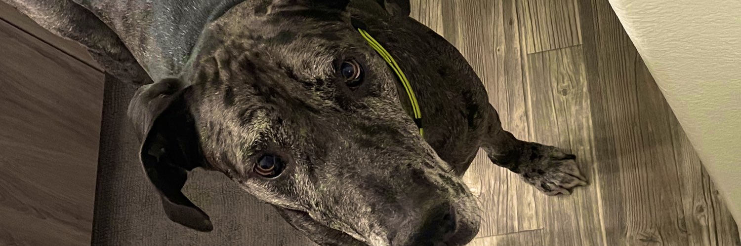 zakmorrill's profile banner image