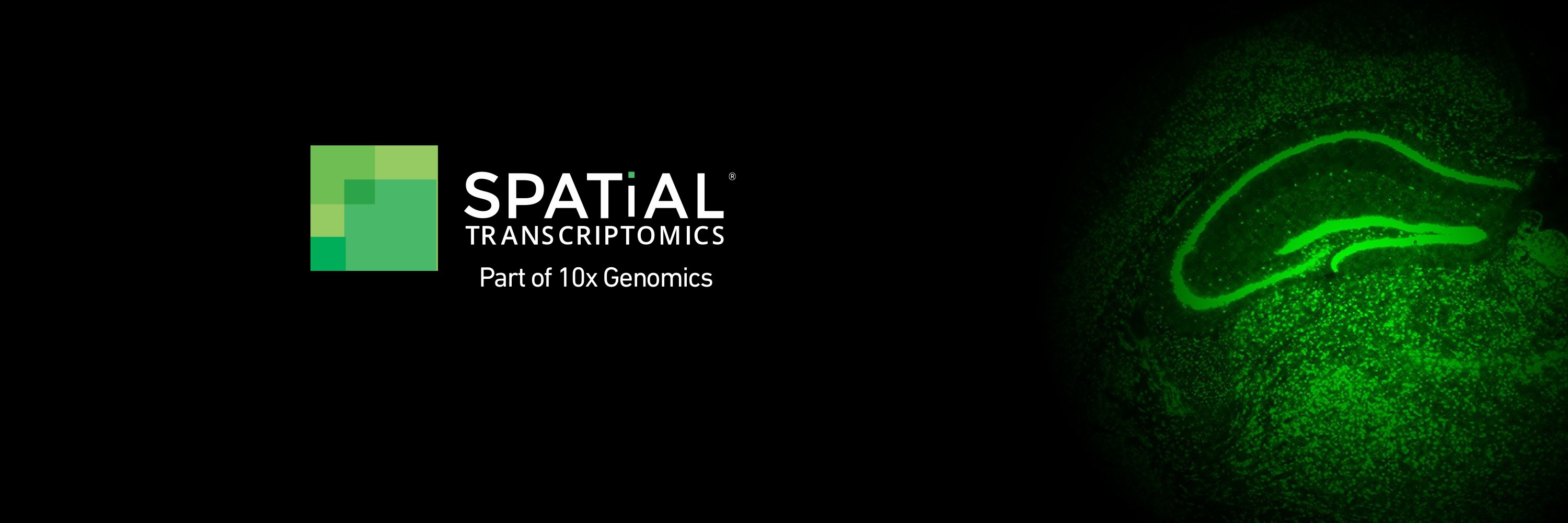 Spatial Transcriptomics - Part of 10x Genomics banner