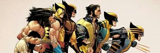 Matt banner
