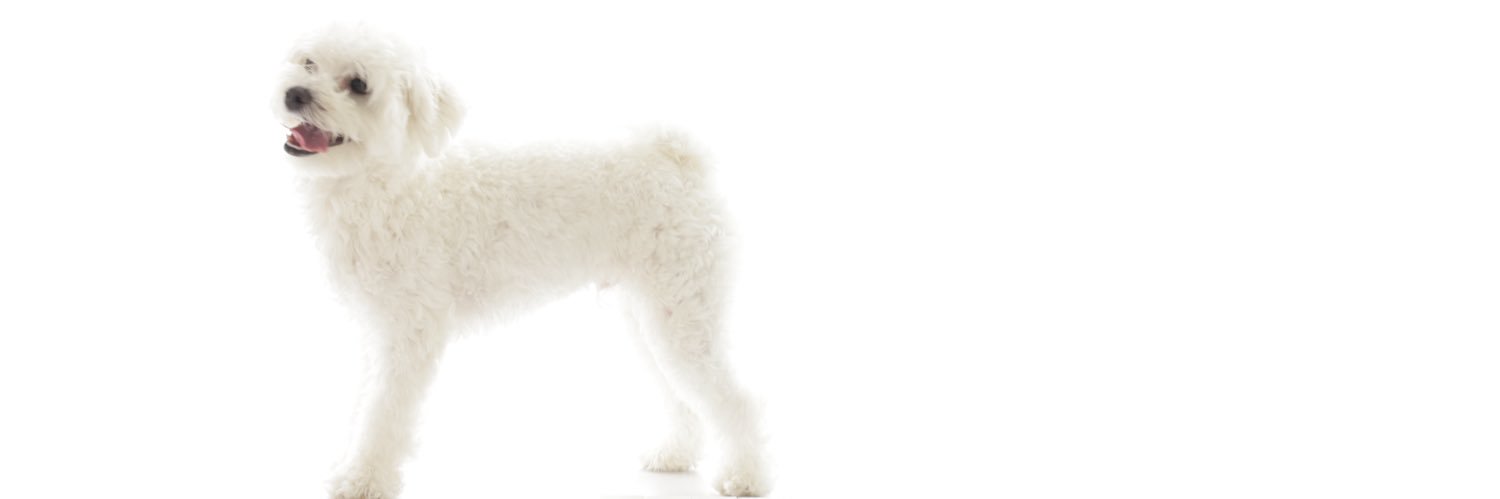 rina111109's profile banner image