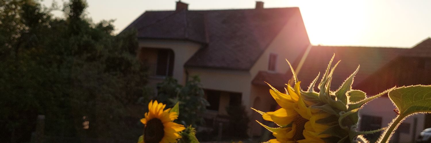 AngelaPfister's profile banner image