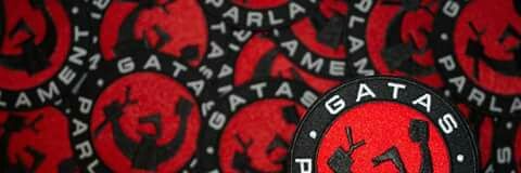 GatasParlament's profile banner image