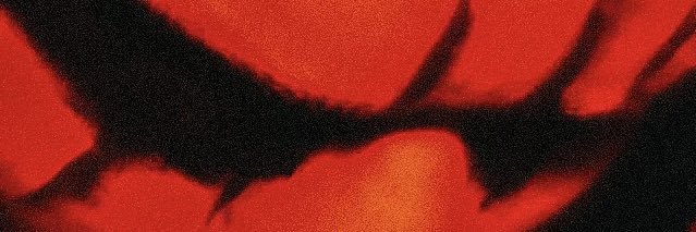 modestfelon's profile banner image