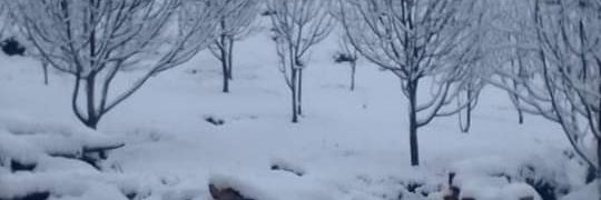 SahVky24's profile banner image