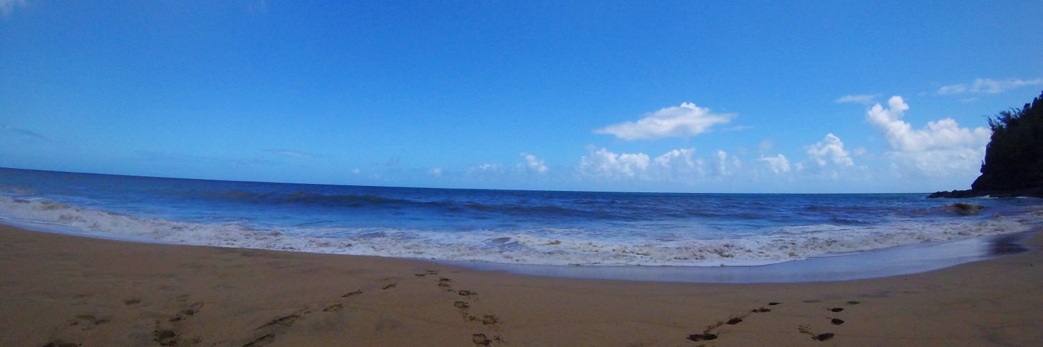 TaylorFort6's profile banner image