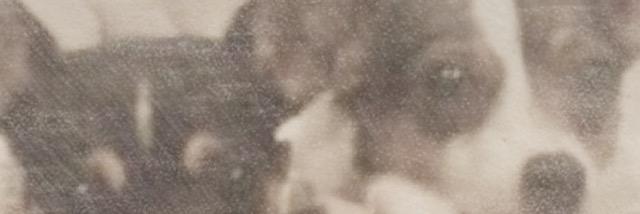 Marian Cunningham, PhD banner