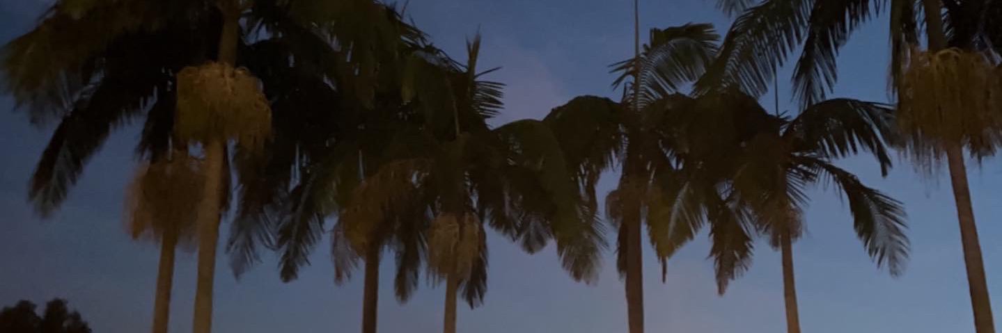 hannahcreatures's profile banner image